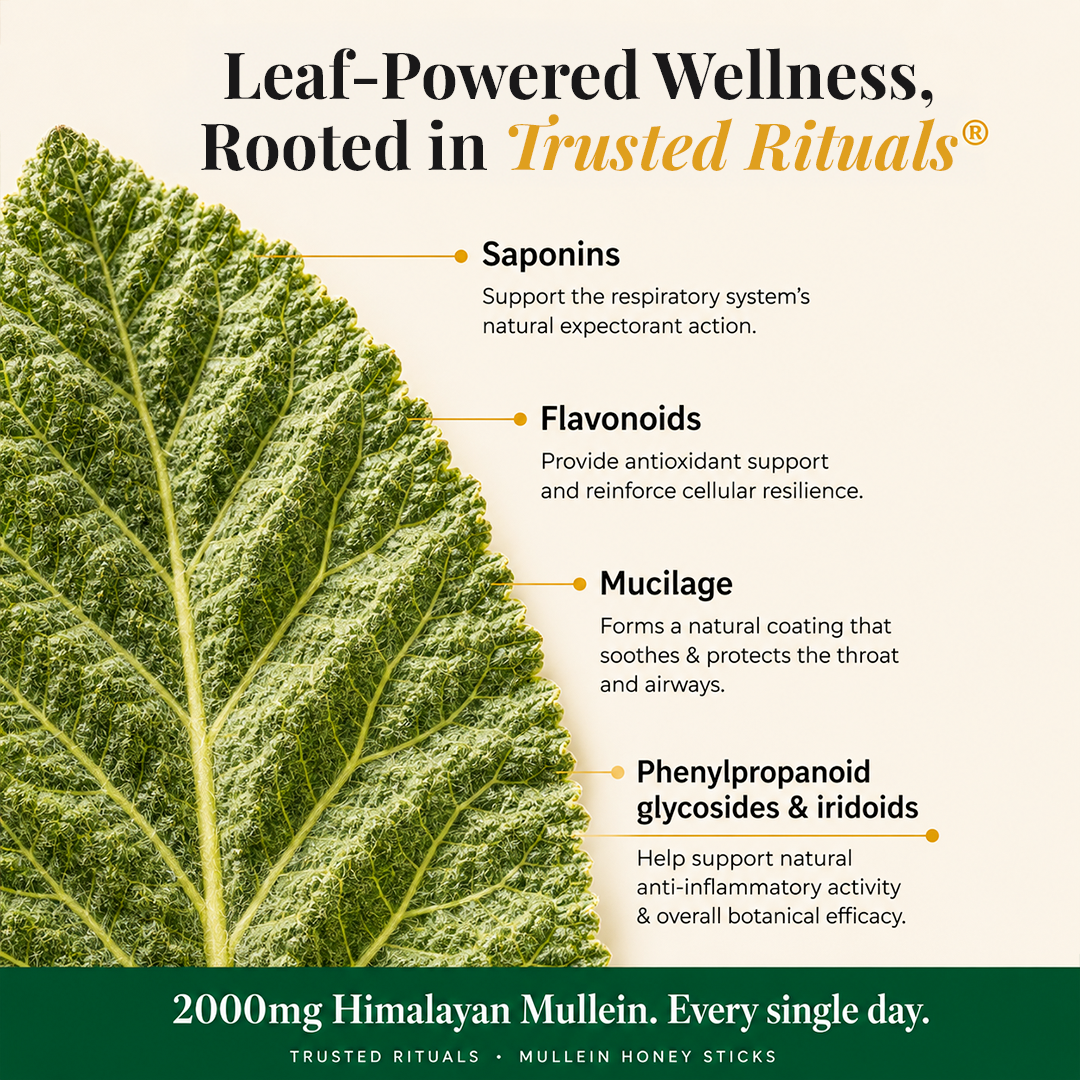 Mullein Honey Sticks 6
