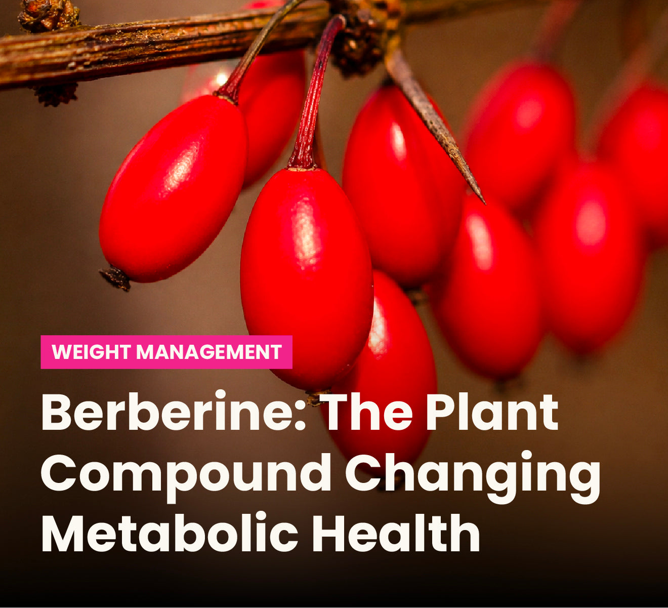 Berberine: The Plant Compound Changing Metabolic Health