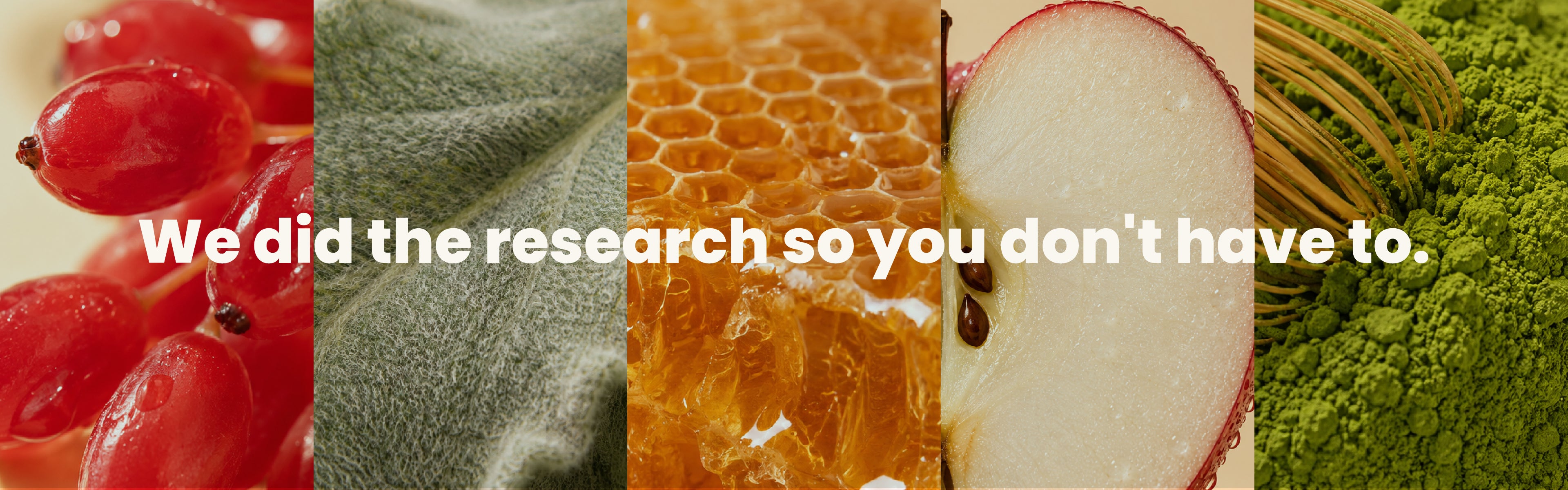 We did the research so you don't have to
